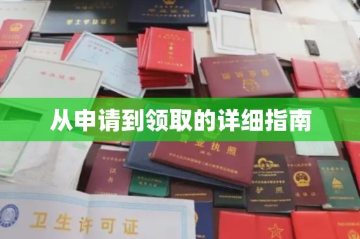 宁国从申请到领取的详细指南