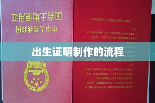 宁国出生证明制作的流程