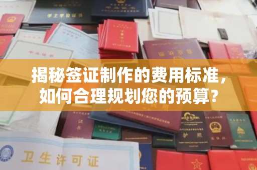 宁国揭秘签证制作的费用标准，如何合理规划您的预算？